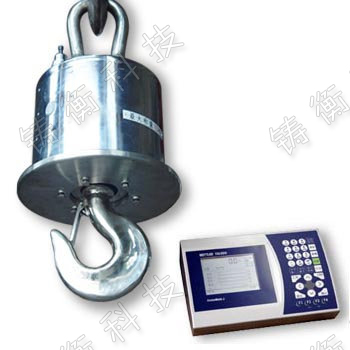 耐高溫吊鉤秤